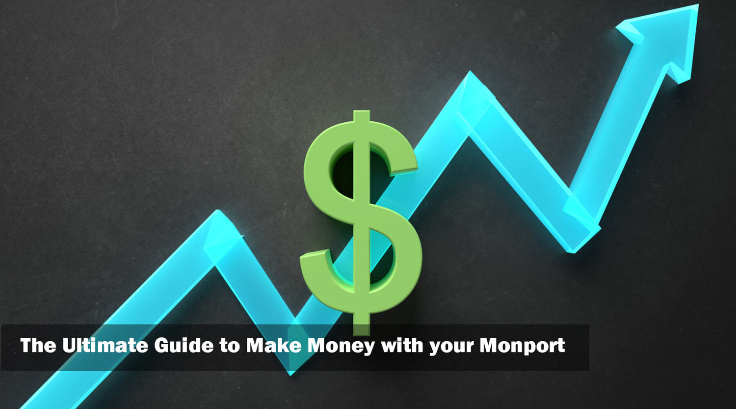 The Ultimate Guide to Make Money With your Monport