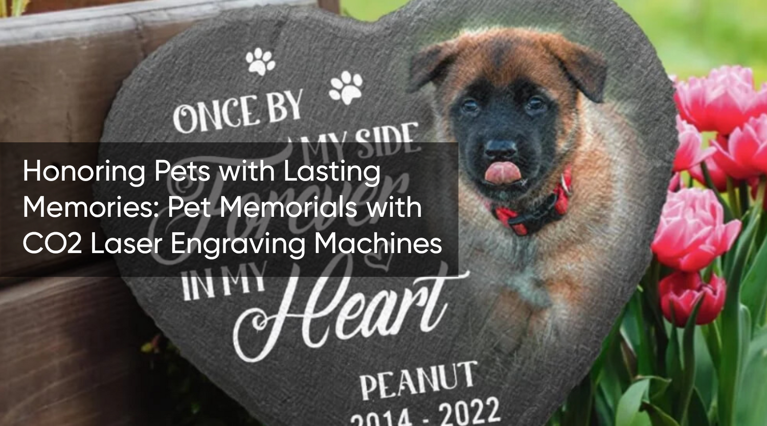 Honoring Pets with Lasting Memories: Pet Memorials with CO2 Laser Engraving Machines