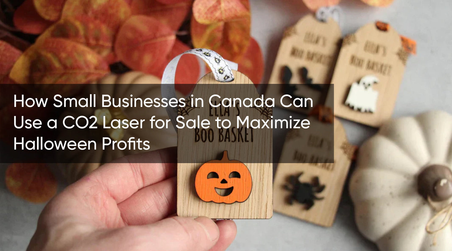 How Small Businesses in Canada Can Use a CO2 Laser for Sale to Maximize Halloween Profits